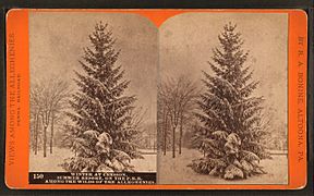 Winter at Cresson, summer resort, on the P. R. R. among the wilds of the Alleghenies, by R. A. Bonine 2