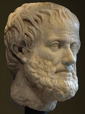 Head of Aristotle.jpg
