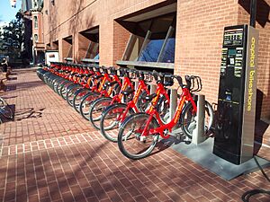 Capital Bikeshare station at YMCA (9715671610)