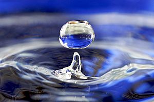 Water drop 001.jpg
