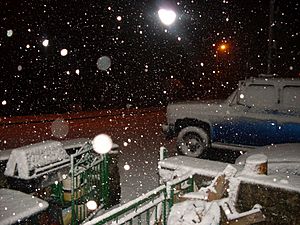 Snowfall in Pant Glas