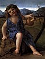 Giovanni bellini, Young Bacchus