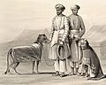 Cheetahs nawab oudh1844