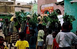 Harar Dance