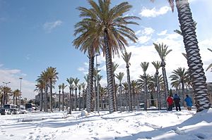 Old Jerusalem in a new guise